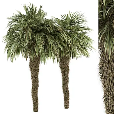Big palm Date Tree Fluff Bark - Tree Set 65