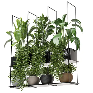 indoor hanging plants in metal box Set 225