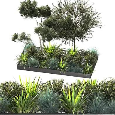 outdoor plant 09