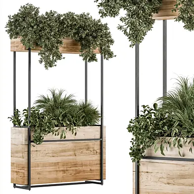 indoor Plant Set 353 - Plant Set in Wood Box