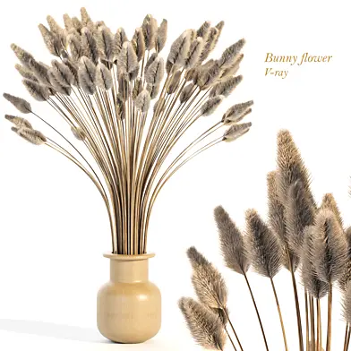 Dry Bunny flower 005