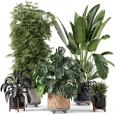 Indoor Plants in rusty Concrete Pot - Set 489