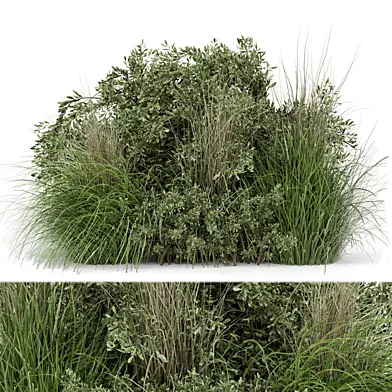 Outdoor Plants Bush -Bush Set 492