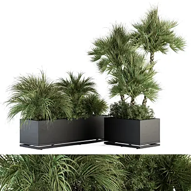 Plant Box Tropical Plants - Outdoor Plants Set 371