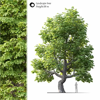 Land scape tree