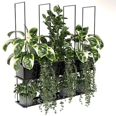 indoor hanging plants in metal box_ - Set 265