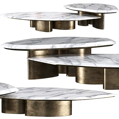 Coffee table Roberto Cavalli Home Ragali