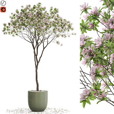 Plants collection 656