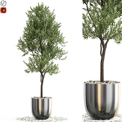 Plants collection 676