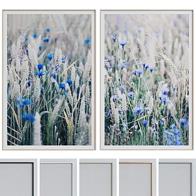 Picture Frame Set 511