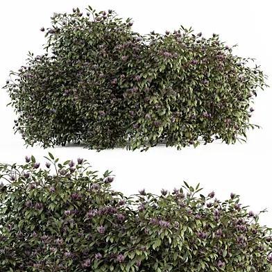 Flower Plant Bush Green and Purple - Spring Bush Set 73