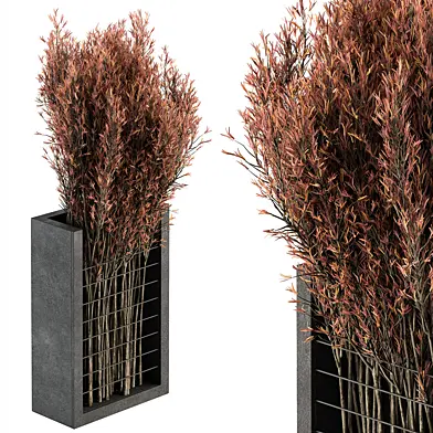 Bouquet - Red Branch in Concrete vase 97