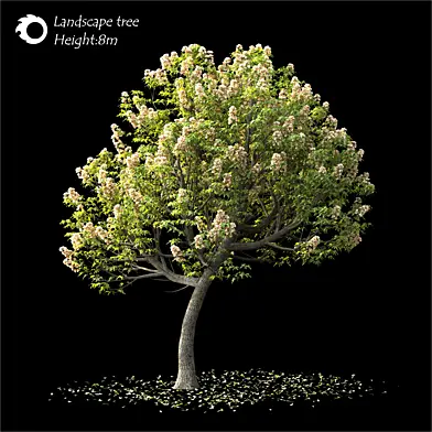 Land scape tree