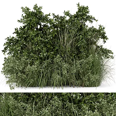 Outdoor Plants Bush -Bush Set 595