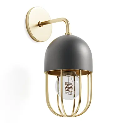 Capsule Cage Sconce