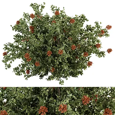 Flower Plant Bush - Bush Set 75