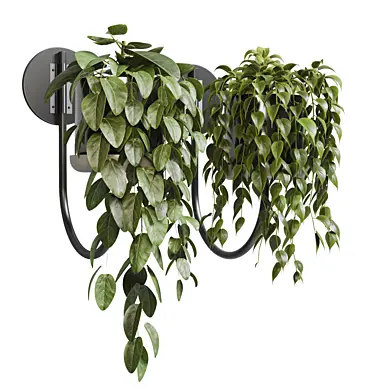 wall plant - collection Indoor plant 203 metal wall vase