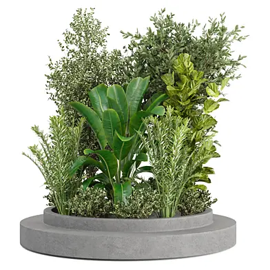 Outdoor Plants Collection - Set 295