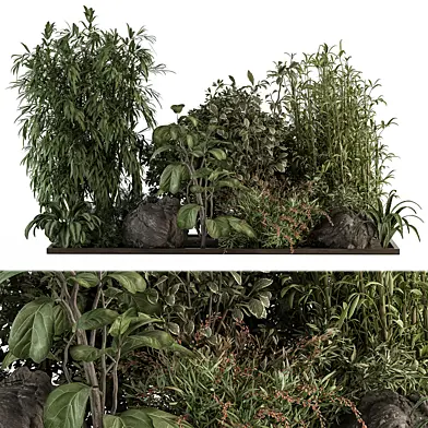Garden Set Tropical Plants - Outdoor Plants Set 382