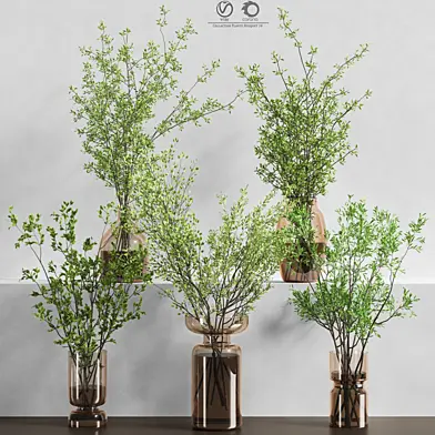 Collaction_Plants_Bouquet_14