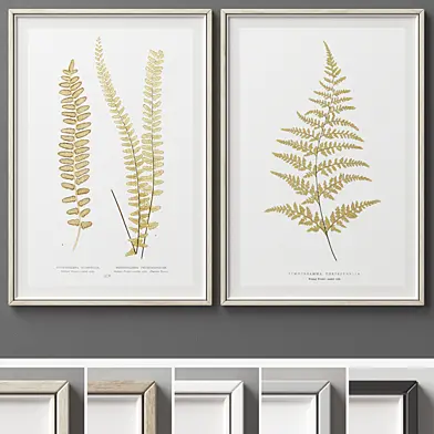 Picture Frames Set -361