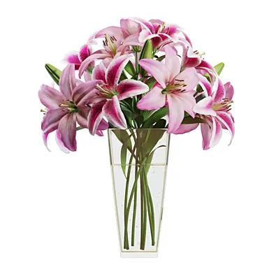 Flower Set 12 / Pink Lilies Bouquet