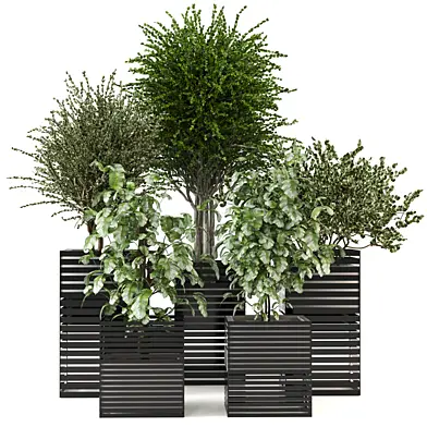 Indoor Plants Collection - Set 359