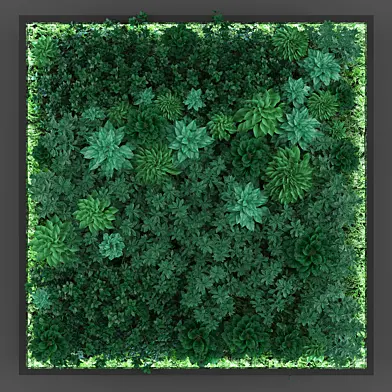 Vertical garden173