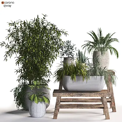 interior plant in box set 319