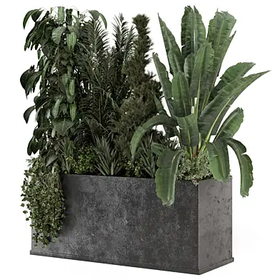 Outdoor Plants in Concrete Pot -Set 743
