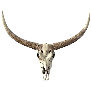 Череп быка Bull Skull