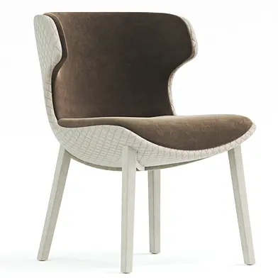 Modern dining chair