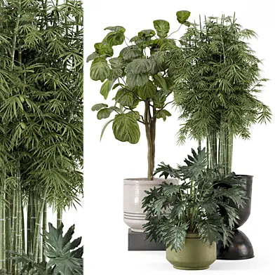 Indoor Plants  in rusty Concrete Pot - Set 750