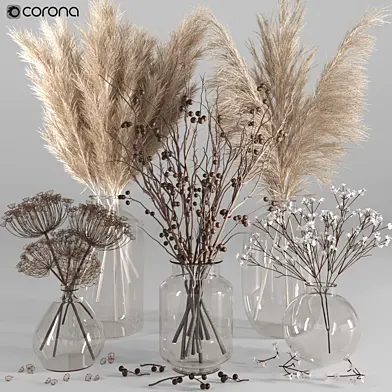 plant set 12_corona