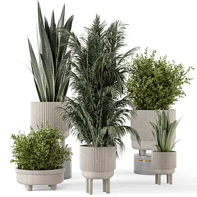 Indoor Plants in Standing Legs Small Bowl Concrete Pot - Set 788