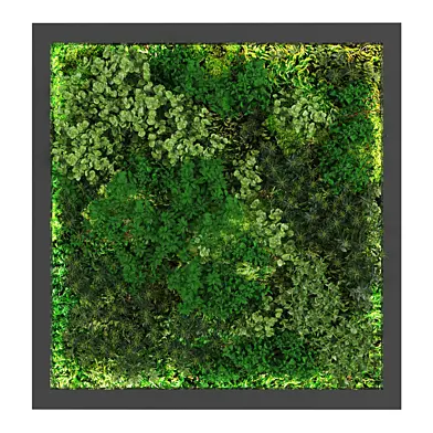 Vertical garden178