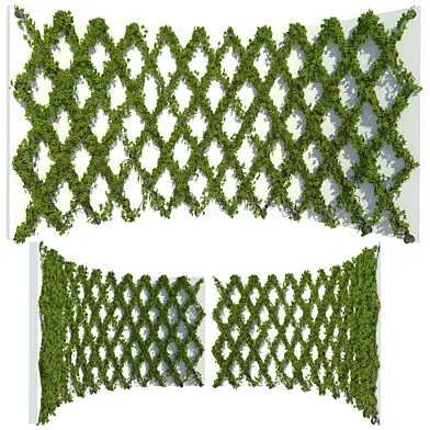 Ivy Wall 13 Corner