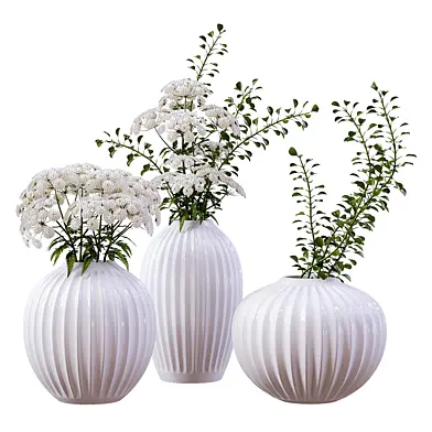 Collection of Indoor Plants