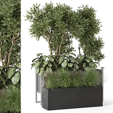 Outdoor Plants in Metal Pots - Set 939