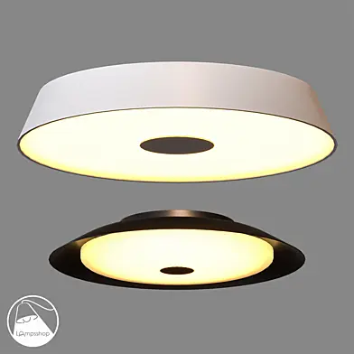 LampsShop.ru Ceiling Lamp Aisilan D E