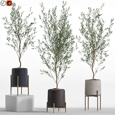 Plants collection 749