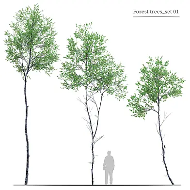 Forest trees set 01