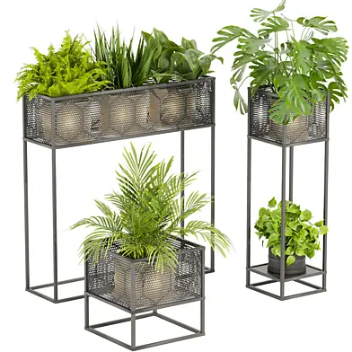 Collection plant vol 375 banana - pothos - fern - palm - monstera
