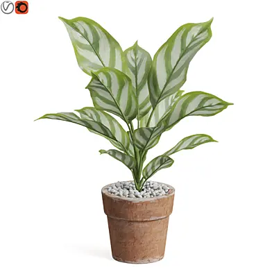 Plants collection 766