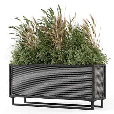 Outdoor Plants in Metal Pots - Set 981
