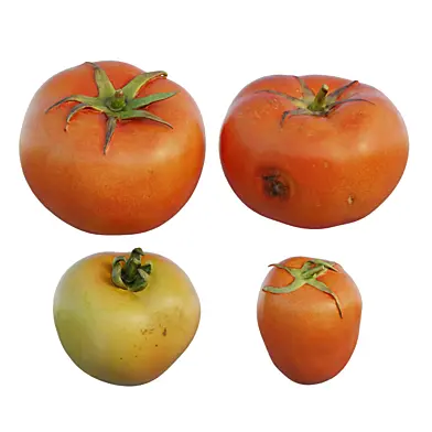Tomato