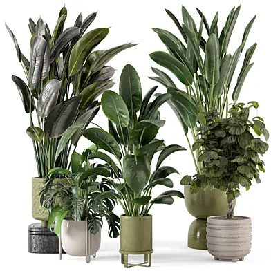 Indoor Plants in Standing Legs Small Bowl Concrete Pot - Set 1006