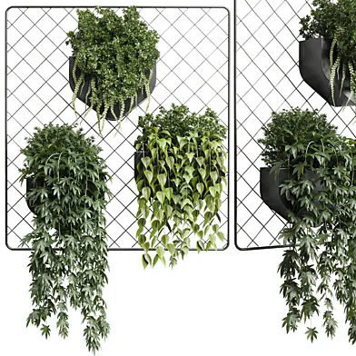 wall plant -  hanging plants collection Indoor plant 293 metal dirt vase