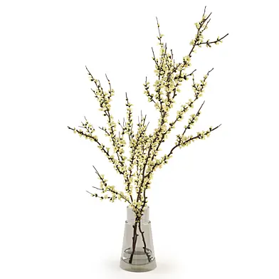Branches in a vase 017