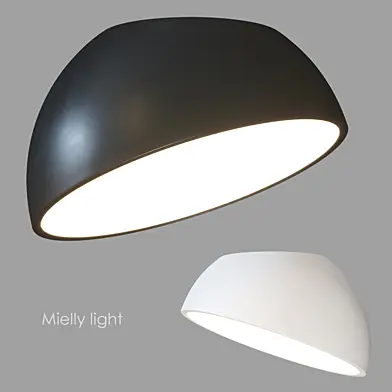Mielly light Потолочный светильник